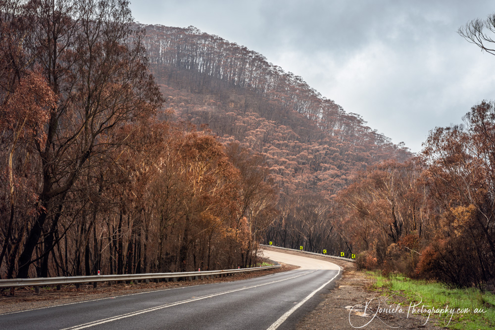 Australian Bushfire Dec2019 Bilpin nsw6